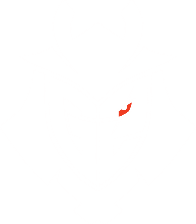 G2 Esports